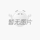 魷魚豐年,貨往哪兒賣?8月上海漁博會找答案